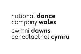 Venue and Touring Technician at National Dance Company Wales